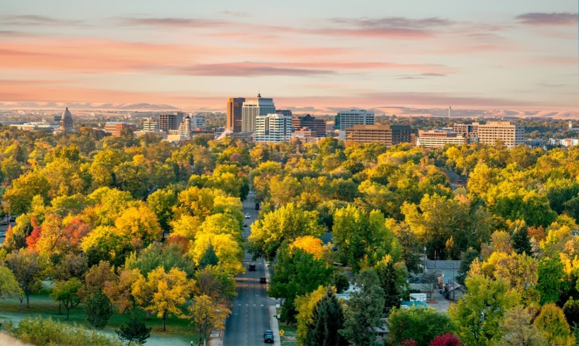 Can I Lose My Professional License if I am Convicted of a Crime in Idaho?